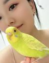 江岸个人半套小姐姐